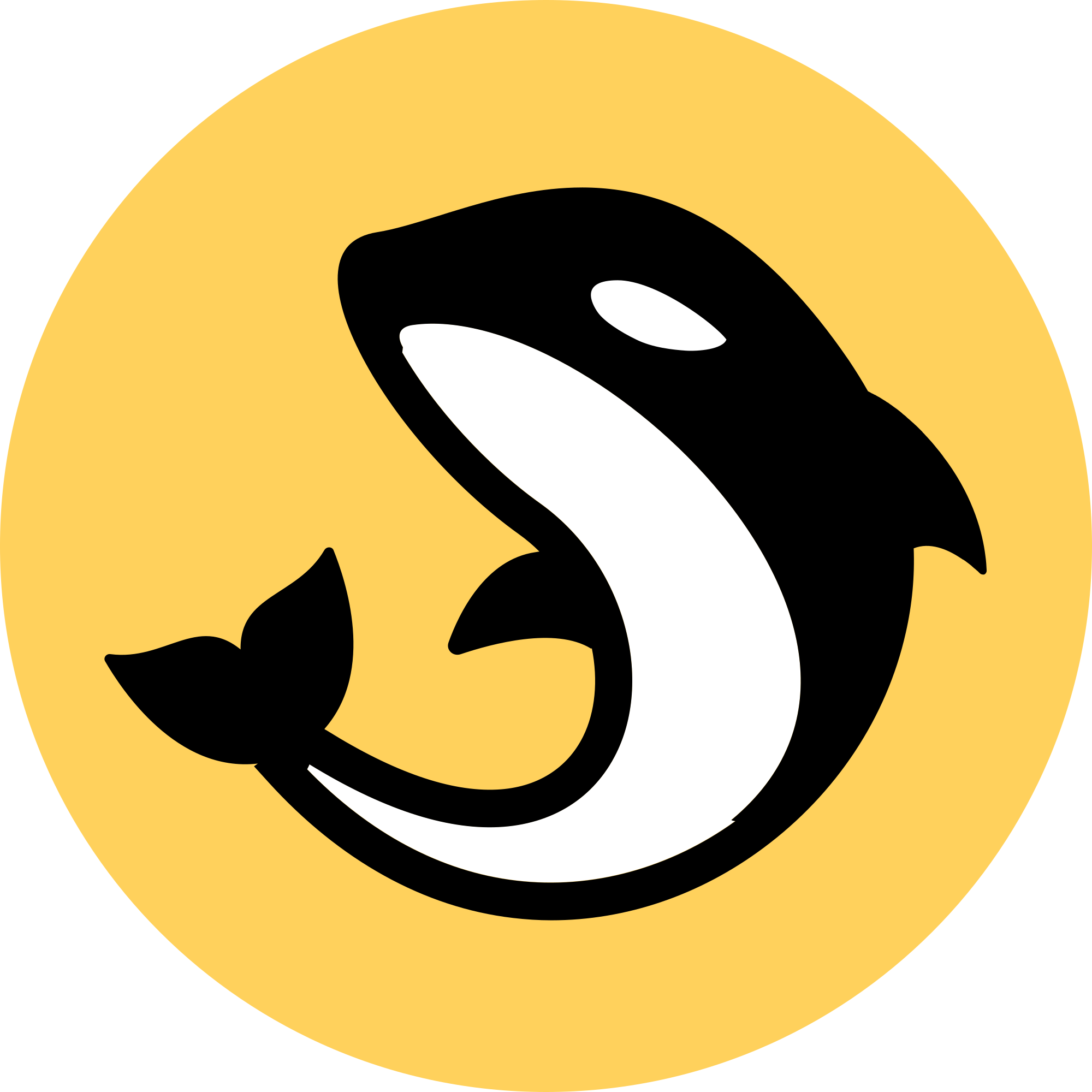 Orca